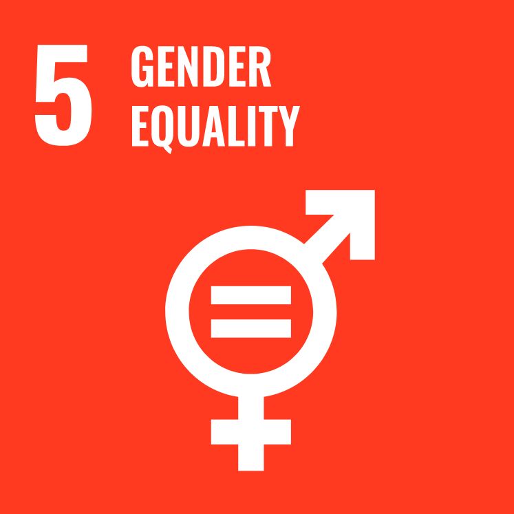sdg icon